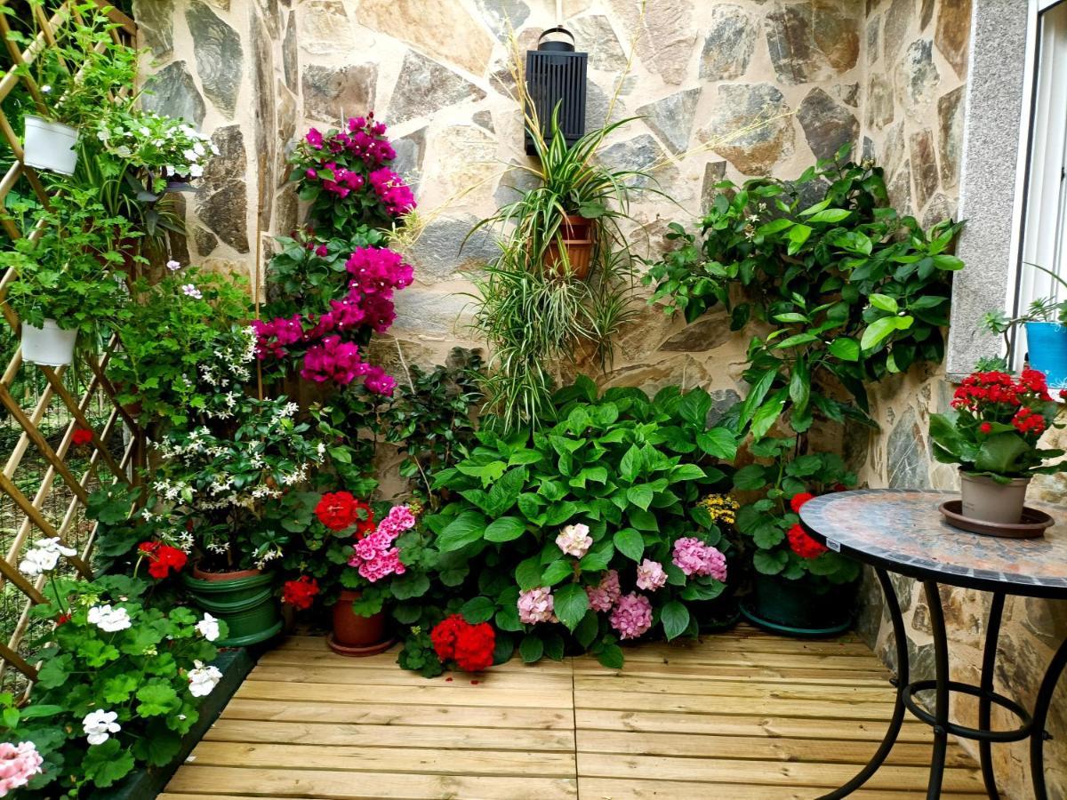 Casa Jardin Βίλα Monforte De Lemos Εξωτερικό φωτογραφία